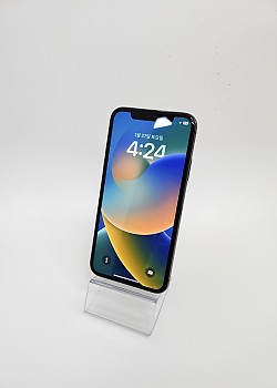 아이폰X    262