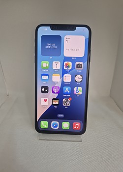 아이폰XS Max 256G