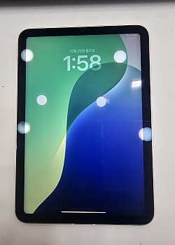 아이패드미니6-셀룰러-6569