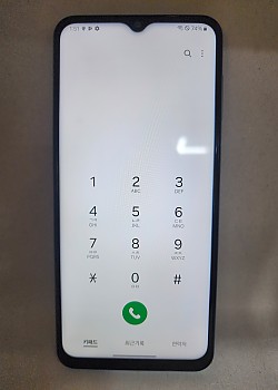 갤럭시 버디2 공기기