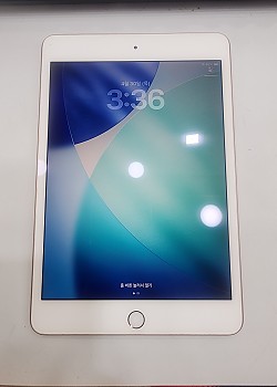 아이패드미니5세대-와이파이용