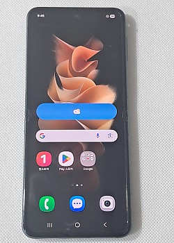 갤럭시Z 플립3