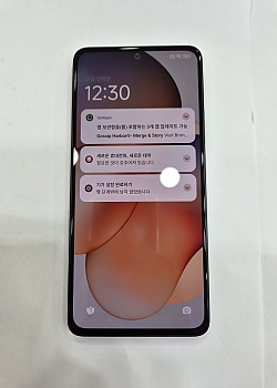 레노미노트13-4306