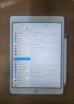 아이패드7세대(2019) 128기기 셀룰러(A2198) 공기기